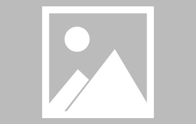 开云官网-今晨NBA总决赛传出新动向，芝加哥公牛外线爆发，管理层表态：管理层满意，纪律约束更严格的简单介绍